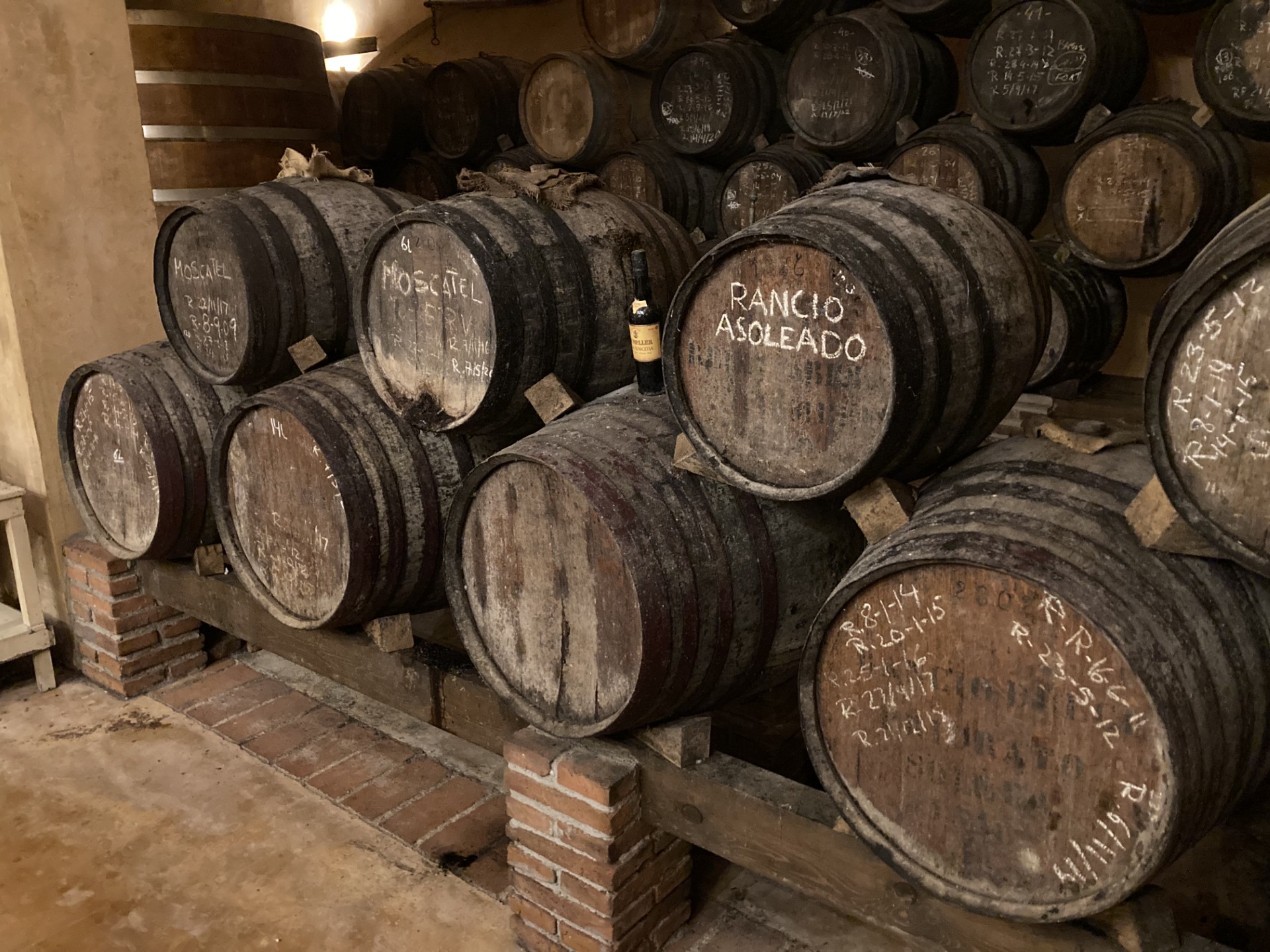 Bezoek Viva Vini op Facebook