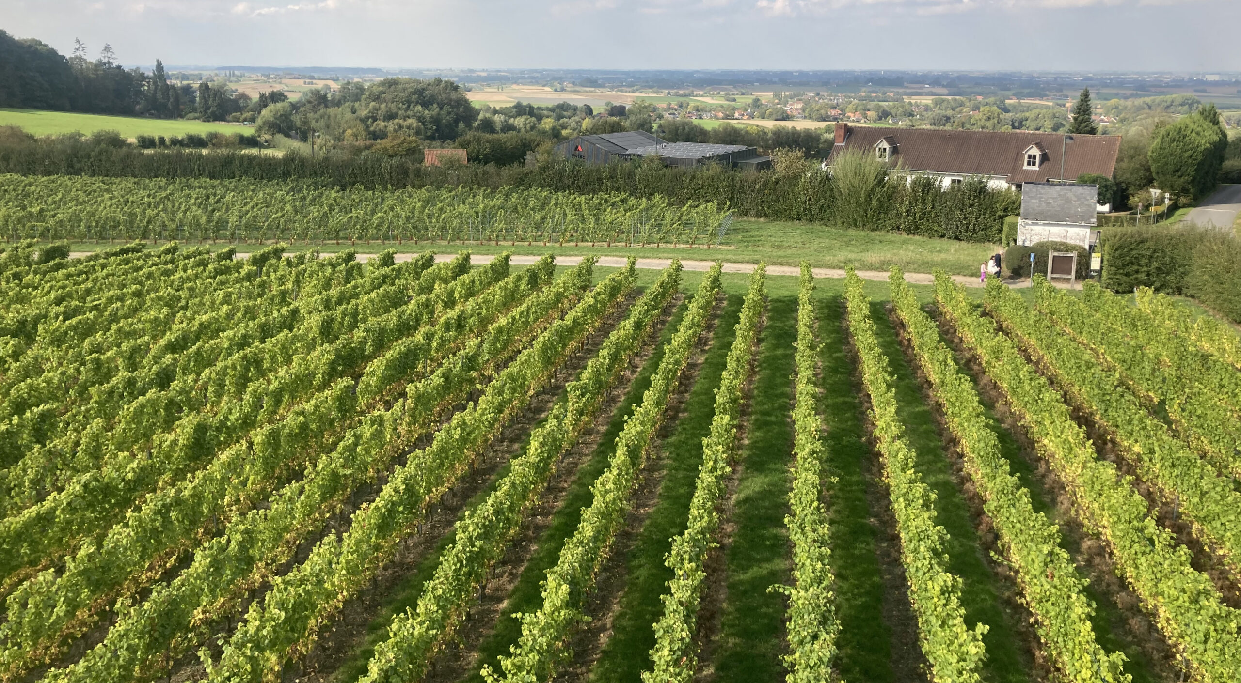Bezoek Viva Vini op Facebook